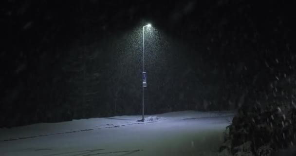 밤에 길에서 눈이 날리는 모습 — 비디오