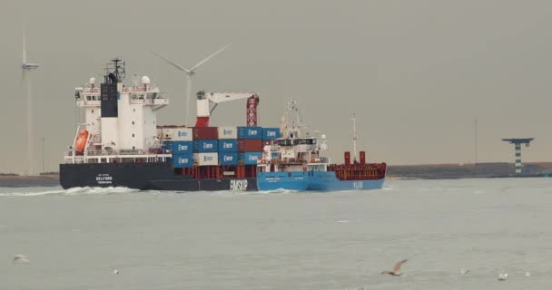 Nave container nel porto di Rotterdam — Video Stock