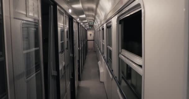 Train ride interior — Stock Video