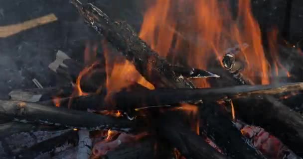 Camp fire under a pot — Stock Video