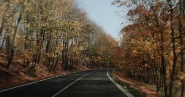 Dirigir um carro através do paisagista outono — Vídeo de Stock