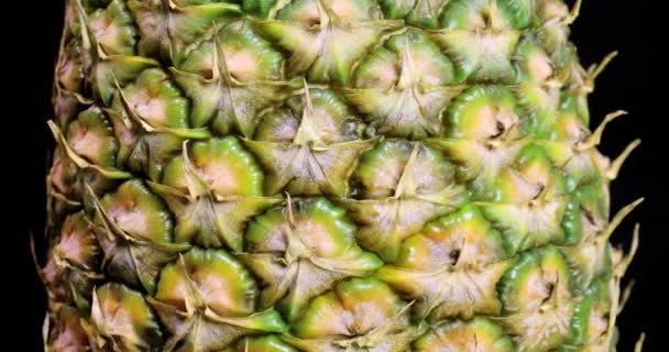 Ananas spinning svart bakgrund — Stockvideo