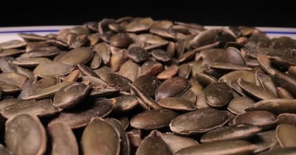 Pumpkin seeds in a pile probe lens macro — Stock Video