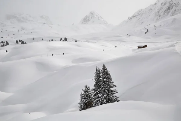 Dağlarda kış manzarası, taze kar. — Stok fotoğraf