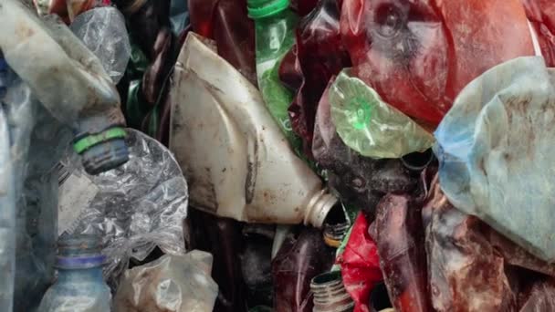 Botellas de plástico en fardos para reciclaje de residuos — Vídeos de Stock