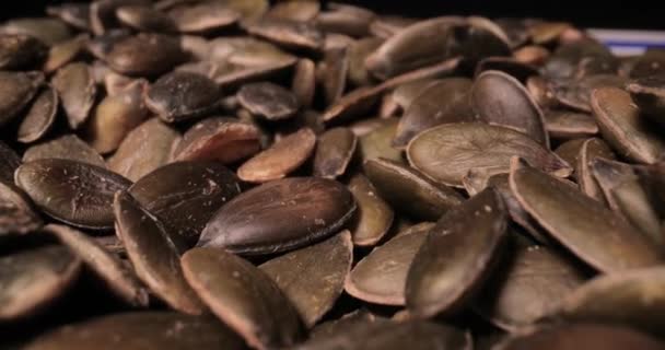 Pumpkin seeds in a pile probe lens macro — Stock Video