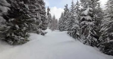 Karlı ormanda yamaçta kayak yapmak.