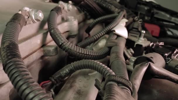 Motor de coche Bay Lente de sonda Movimiento deslizante — Vídeo de stock