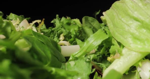 Fresh green salad macro with probe lens — Stock Video