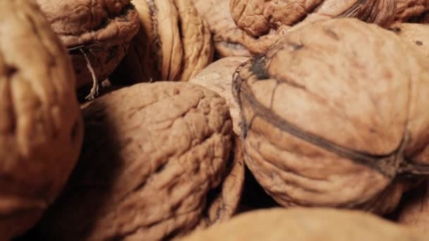 Walnuts in a pile macro probe lens camera motion — Stock video