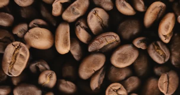 Granos de café tostados Spinning — Vídeo de stock