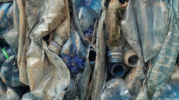 Botellas de plástico en fardos para reciclaje de residuos — Vídeo de stock