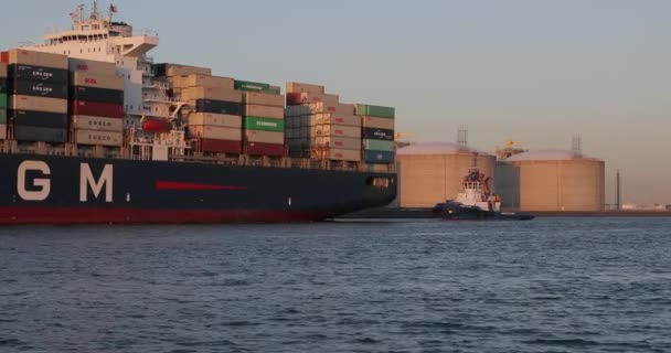 Enorme container schip in de haven — Stockvideo