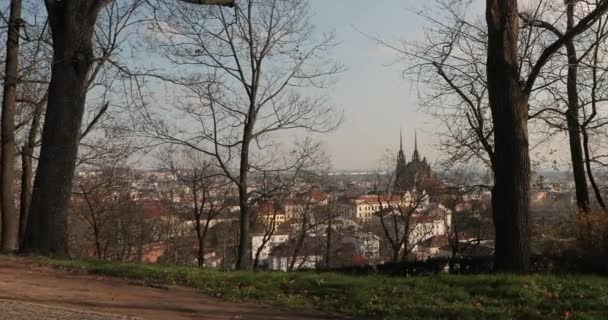 Brno town view Petrov Church — Stock Video