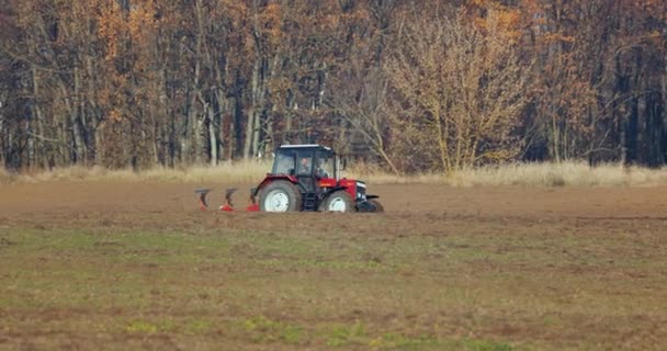 Traktor pflügt landwirtschaftlichen Boden — Stockvideo