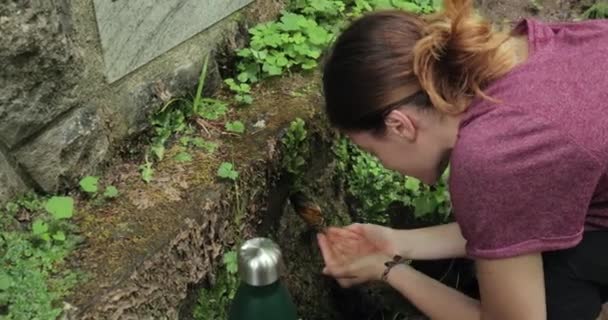 山の春に水のボトルを埋める — ストック動画