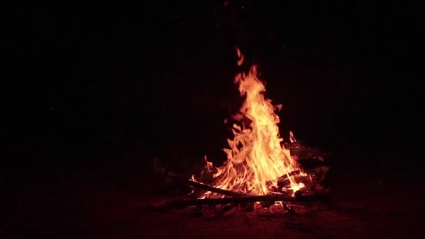 Fuego de campamento llamas — Vídeos de Stock