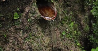 Taze kaynak suyu akıyor