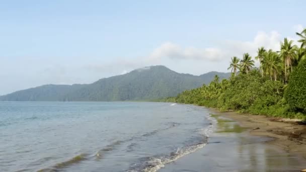 Pacifické pobřeží s deštným pralesem — Stock video