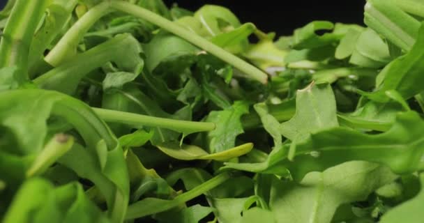 Fresh green salad macro with probe lens — Stock Video
