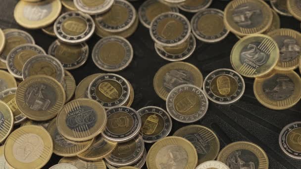 Münzen im Haufen, ungarische Forint — Stockvideo