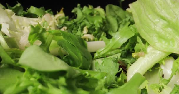 Frisse groene salade macro met sonde lens — Stockvideo