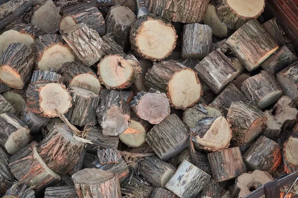 Pilha de madeira Closeup — Fotografia de Stock