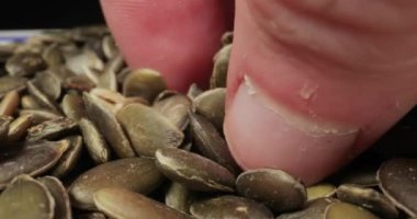 Lens makrosundaki kabak tohumları