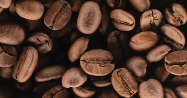 Kavrulmuş Kahve Fasulyeleri Dönüyor — Stok video