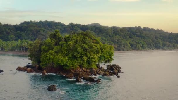 Côte Pacifique avec forêt tropicale — Video