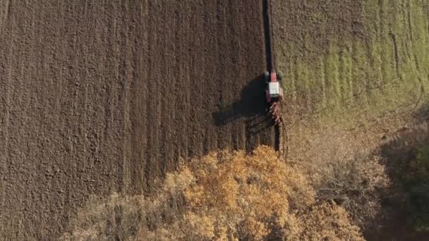 Трактор, пахающий сельскохозяйственную почву, вид с воздуха с беспилотника — стоковое видео