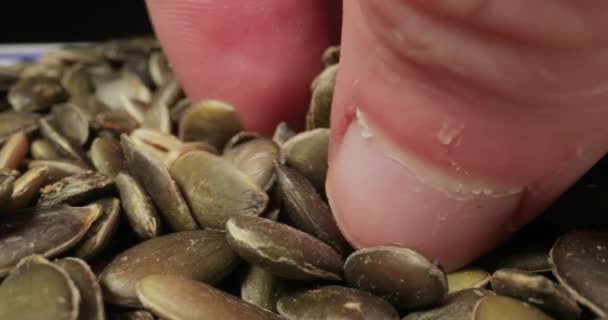 堆栈探头中的南瓜种子宏 — 图库视频影像