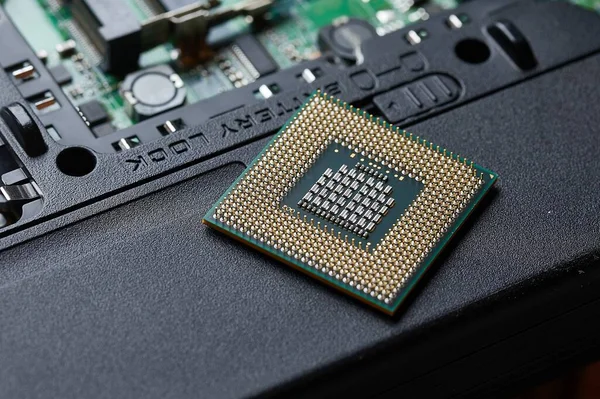 Segurando uma CPU — Fotografia de Stock