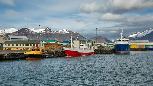 Hamnen i Hofn, Island — Stockfoto