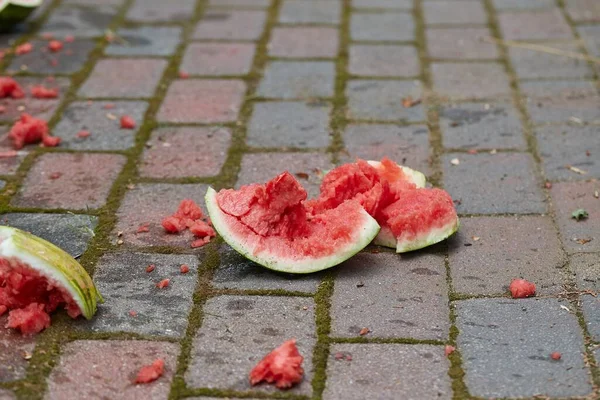 Zamítnuté meloun na zemi — Stock fotografie