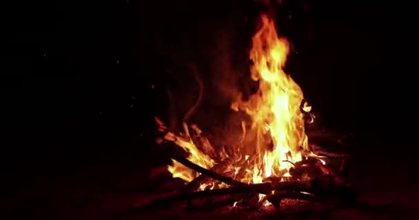 Campo fuoco fiamme — Video Stock