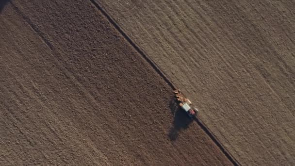 Traktorplogning jordbruksmark, drönare antenn vy — Stockvideo