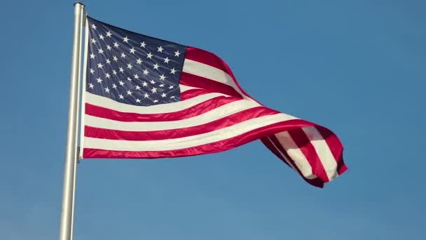 Bandera Nacional Americana — Vídeo de stock