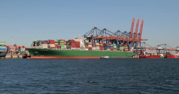 Loading containers on a cargo ship — Stock Video