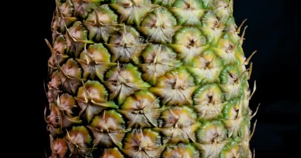 Ananas spinning svart bakgrund — Stockvideo