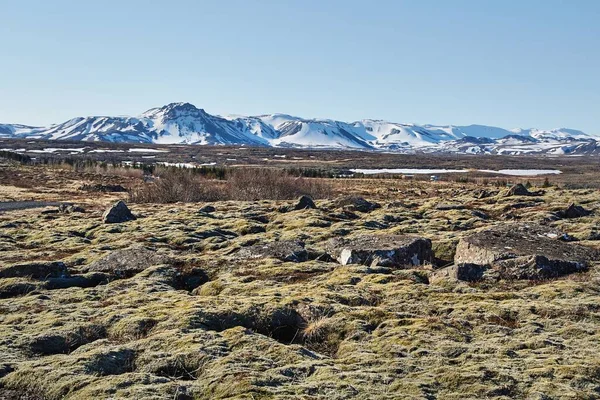 冰岛的碎石路 — 图库照片