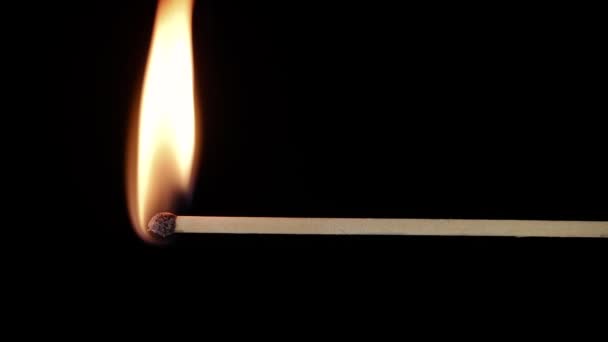 Igniting match burning closeup — Stok video