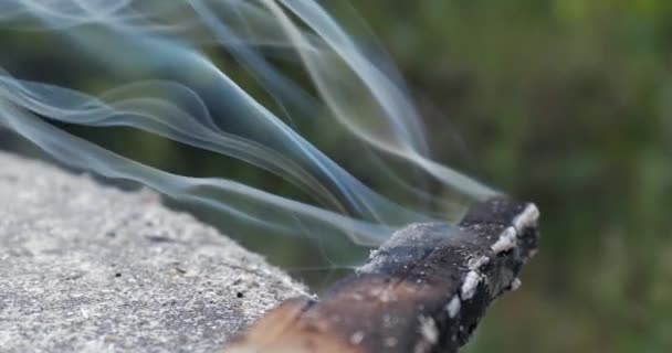 Απελευθέρωση καπνού από φλεγόμενο ραβδί σε φωτιά κατασκήνωσης — Αρχείο Βίντεο