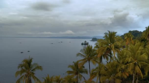 Costa del Pacífico con selva tropical — Vídeos de Stock
