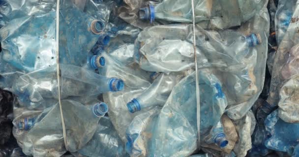 Plastic bottles in bales for waste recycling — Stock Video