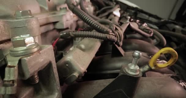 Motor de coche Bay Lente de sonda Movimiento deslizante — Vídeos de Stock