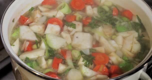 Cookingvegetable soup with fresh ingredients — Stock Video