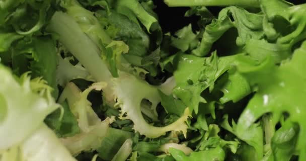 Φρέσκια πράσινη σαλάτα μακροεντολή με φακό καθετήρα — Αρχείο Βίντεο