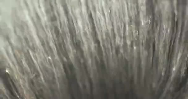 Płynąca woda pod prysznicem — Wideo stockowe