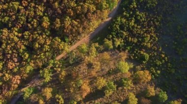Renkli sonbahar ormanı tepeleri hava aracı görüntüleri